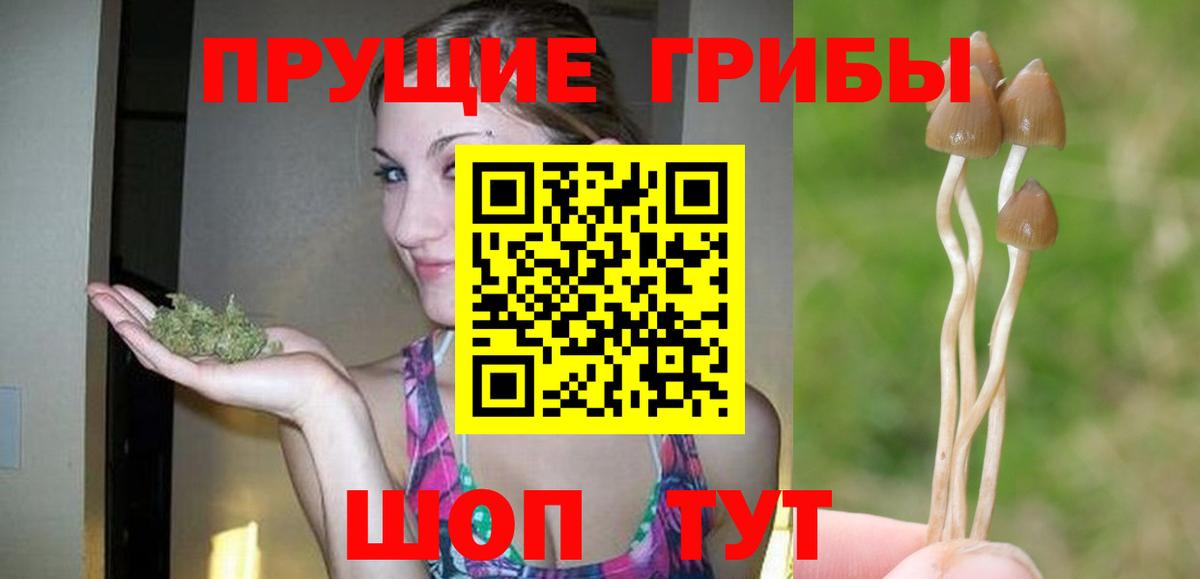 Галлюциногенные грибы мицелий Белореченск